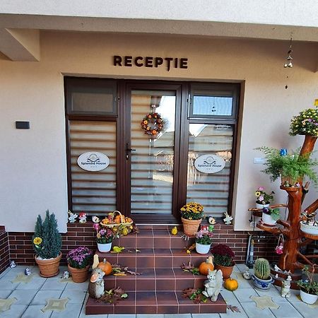 Splendid House 호텔 Făgăraş 외부 사진