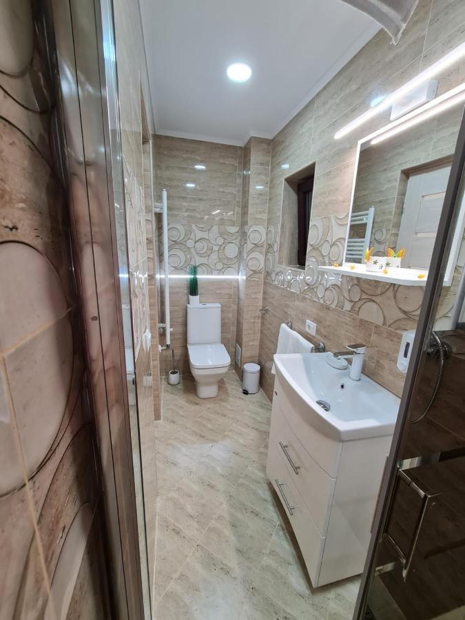 Splendid House 호텔 Făgăraş 외부 사진