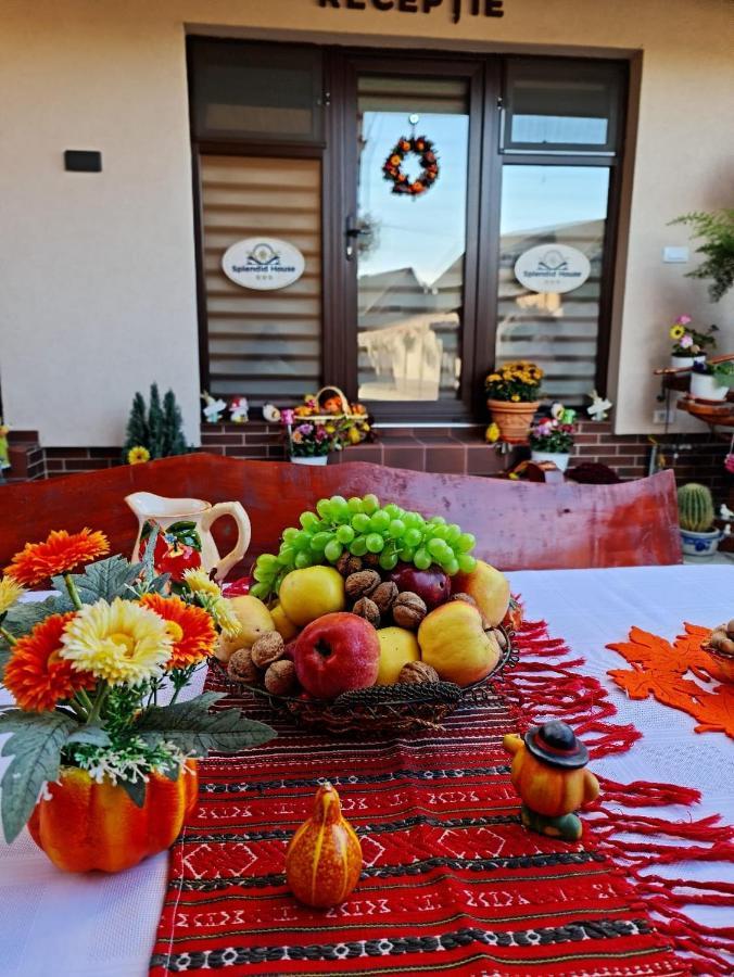 Splendid House 호텔 Făgăraş 외부 사진